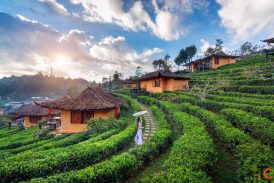 Vietnam e-Visa for Indians - Apply Online Through Scapia