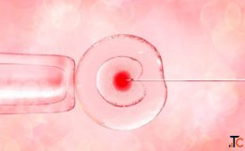 Donor Sperm IVF Noida-Little Angel IVF