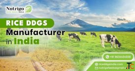 Rice DDGS Manufacturers in Madhya Pradesh
