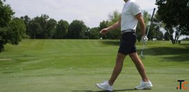 7 Inch Golf Shorts Stretch Performance Shorts for Golf
