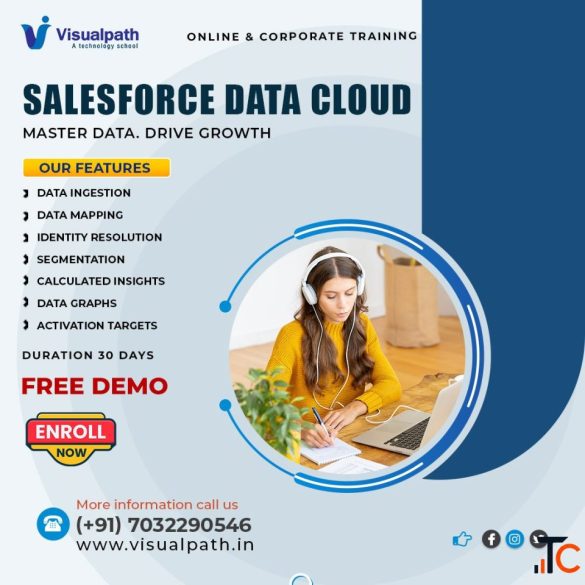 Salesforce Data Cloud Training Online Live Expert Classes