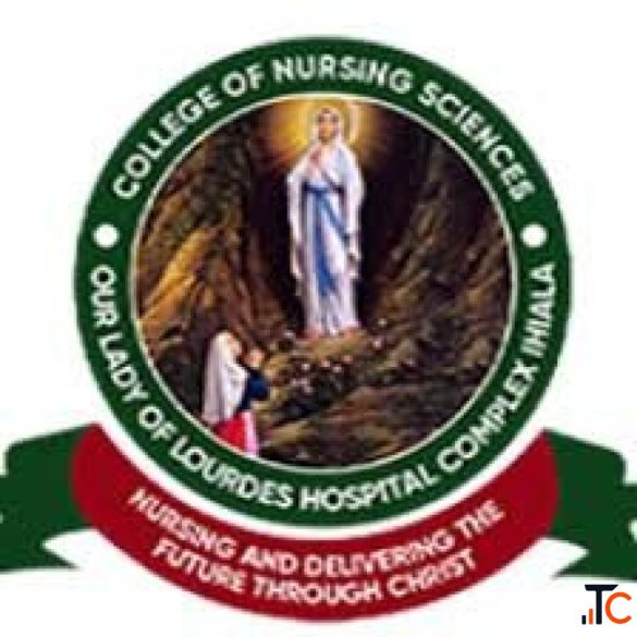 College of Nursing Sciences ihiala 20262027 session admission form on sales
