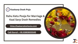 Rahu Ketu Pooja for Marriage Kaal Sarp Dosh Remedies