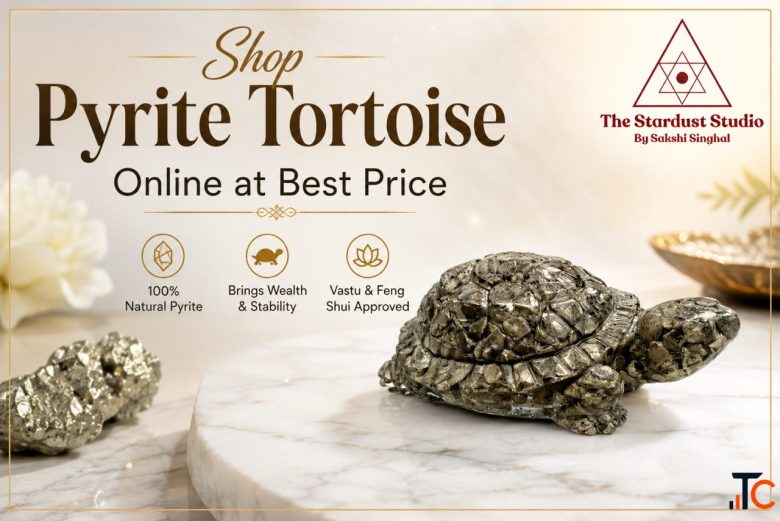 Shop Pyrite Tortoise Crystal Online at Best Price The Stardust Studio