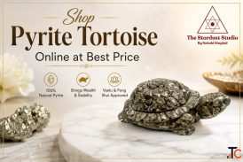 Shop Pyrite Tortoise Crystal Online at Best Price The Stardust Studio