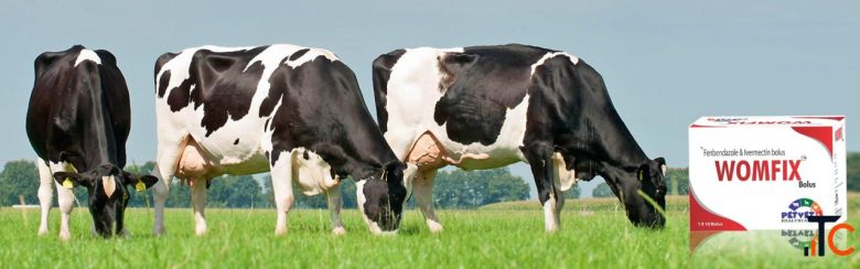 Best Veterinary Medicine Manufacturer In India