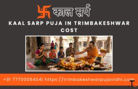 Kaal Sarp Puja In Trimbakeshwar For Traditional Guidance