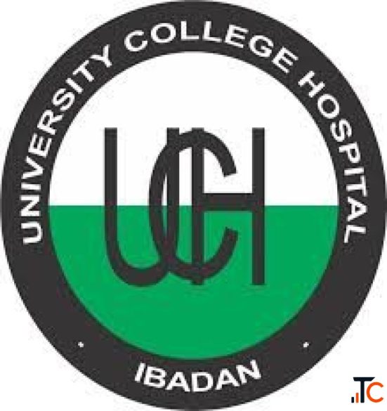 UCH Ibadan announces admission into Nursing School 20262027