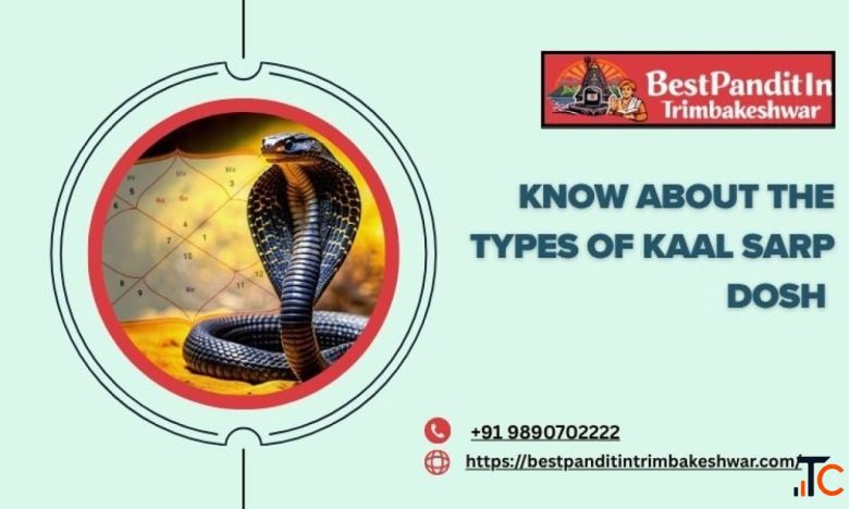Know About The Types Of Kaal Sarp Dosh