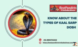 Know About The Types Of Kaal Sarp Dosh