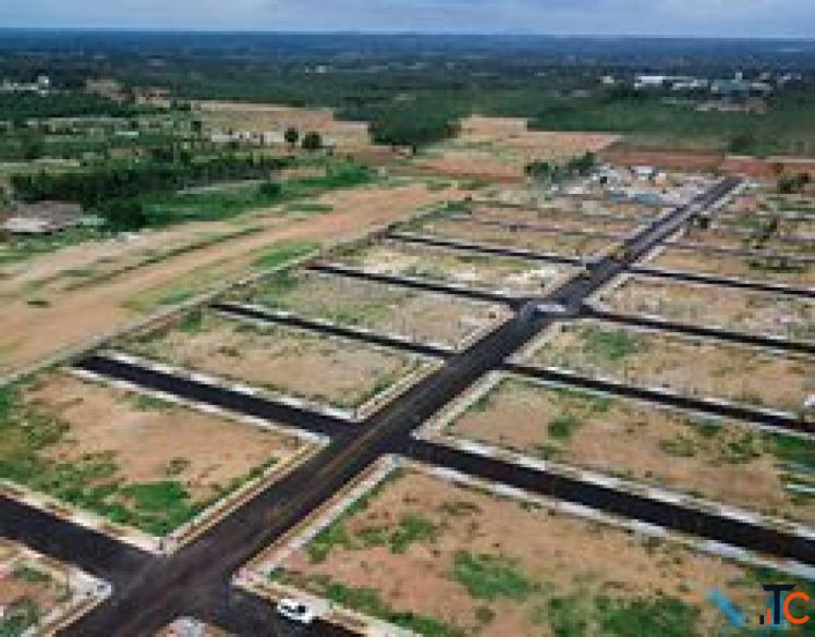 Looking for a plot in Noida for a long-term profitable investment