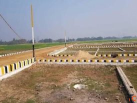 How many units are currently left at Royal Green Sector 148 Noida