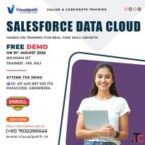 Salesforce Data Cloud Course Live Online Training