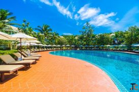 Swimming Pool Accessories in Hyderabad