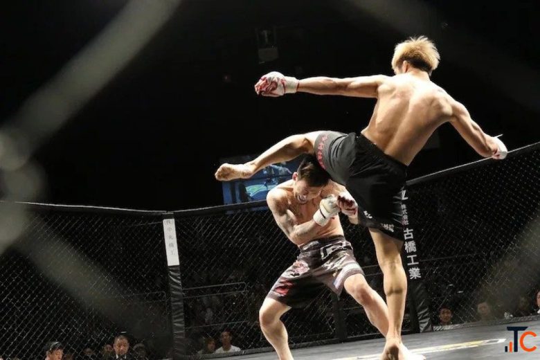 MMA Training in Noida for Students 2026