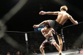 MMA Training in Noida for Students 2026