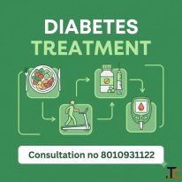 Type 1 Diabetes Treatment in Ayurveda 8010931122