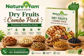 Naturefam Dry Fruits Combo Pack - Premium Mixed Dry Fruits