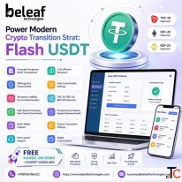 Power Modern Crypto Transition Strat Flash USDT