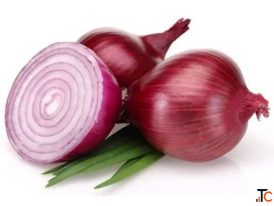 Red Onion Exporter