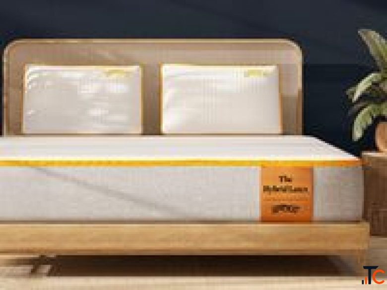Buy Single Bed Mattress Online SleepyCat