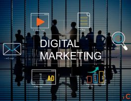 Build Your Career with Digital Marketing Skills