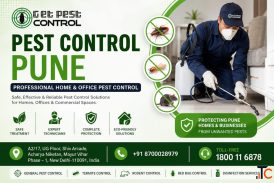 Pest Control Pune Professional Home Office Pest Control