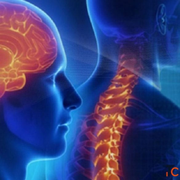 Expert Neurologist in Zirakpur Dr. Rajnish Kumar Excel Medi Clinics