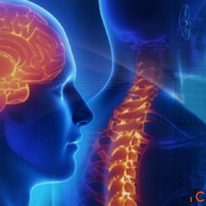 Expert Neurologist in Zirakpur Dr. Rajnish Kumar Excel Medi Clinics