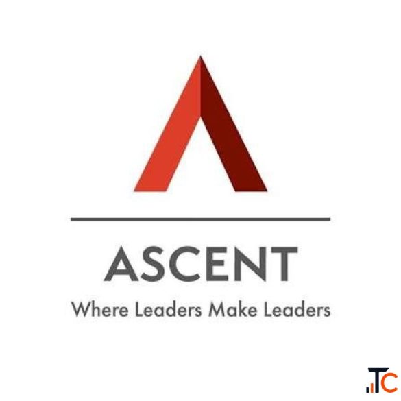 Why Peer Learning Matters for Modern Entrepreneurs