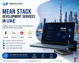 MEAN Stack Development Services in UAE Digital Dev Fusion