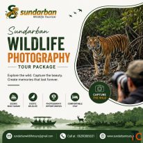 Sundarban Wildlife Photography Tour Package - Sundarban Wildlife Tourism