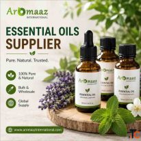 Bulk Essential Oils Supplier Wholesale Pure Essential Oils for B2B