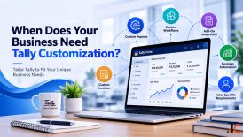 When Does Your Business Need Tally Customization