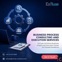 EnFuse Combines Business Insight and Execution Power for Process Excellence