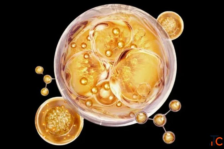 PDRN Skin Regeneration - Advanced Cellular Repair Technology
