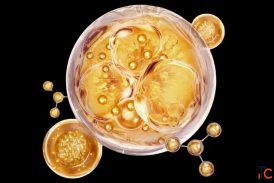PDRN Skin Regeneration - Advanced Cellular Repair Technology
