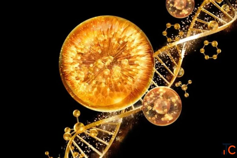 Peptide Skin Repair Technology Rebuilding Skin From Within