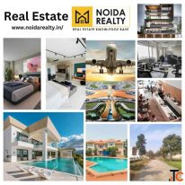 How can Noida Realty help with property investment