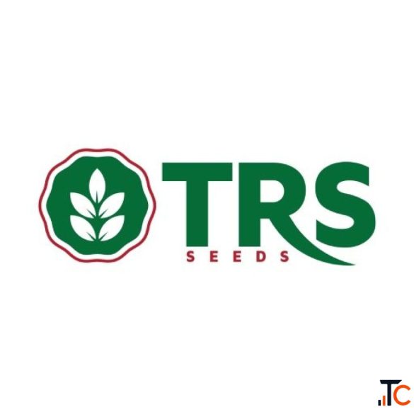 Hybrid Field Crop Seeds in Gujarat for Productive Agricultural Farming