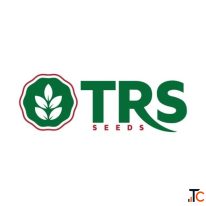 Hybrid Field Crop Seeds in Gujarat for Productive Agricultural Farming
