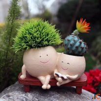 Buy Decorative Planters Pots Online in India Unipeg Decor