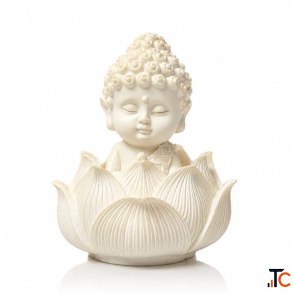 Buy Baby Buddha on Lotus - Beautiful Buddha Statue for Home Decor