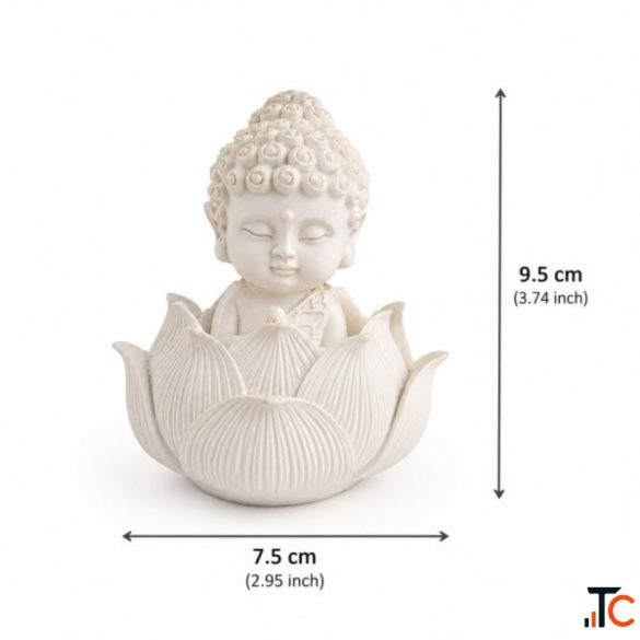 Buy Baby Buddha on Lotus - Beautiful Buddha Statue for Home Decor