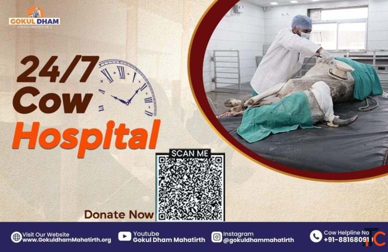 Nearby Gaushala for Meaningful Gau Seva