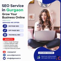 Professional SEO service in Gurgaon -DigixMark