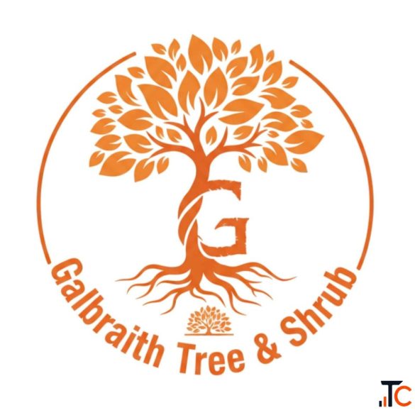 Best Tree Service Geneseo NY for Professional Tree Care Solutions