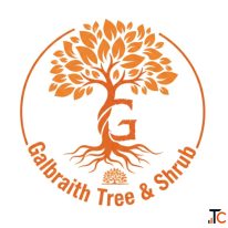 Best Tree Service Geneseo NY for Professional Tree Care Solutions