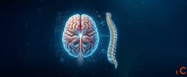 Neuro Spine Surgeons in Faridabad