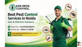 Pest Control Charges in Noida Price List Services